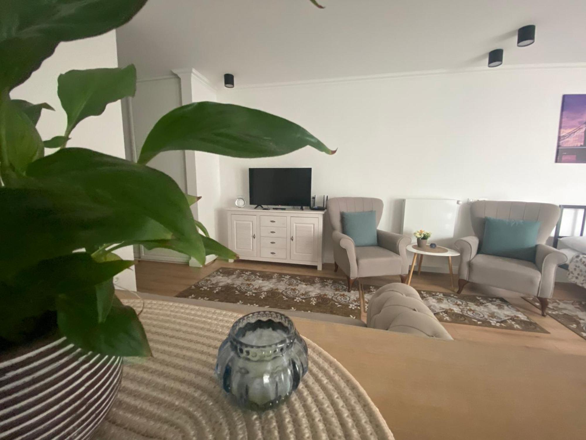 Central Park Apartment كلوج-نابوكا المظهر الخارجي الصورة